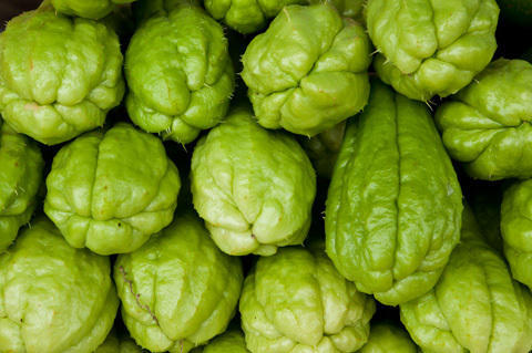 Organic Fresh Chayote