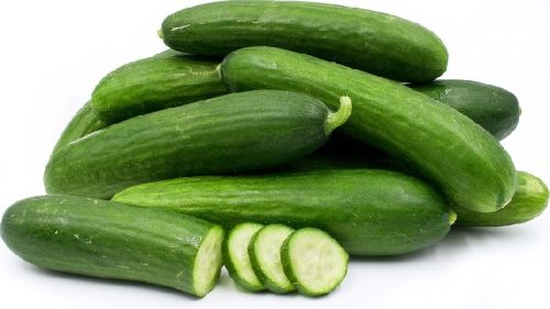 Organic Fresh Cucumber,fresh Cucumber