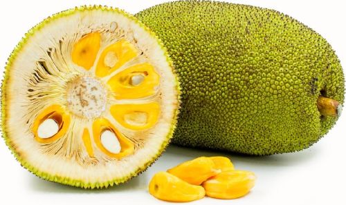 Organic Fresh Jackfruit
