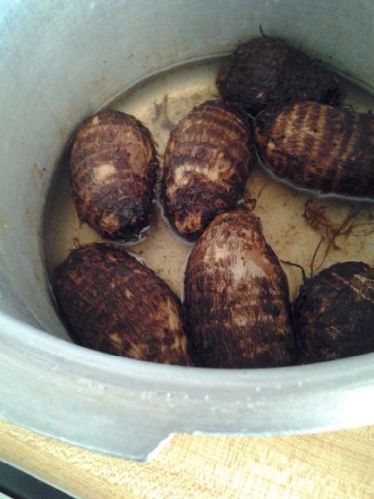 Organic Fresh Yam, For Human Consumption, Cooking, Packaging Type : Plastic Bag, Gunny Bag