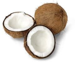 Coconut