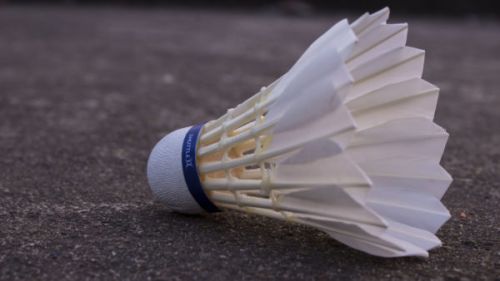 PHILIX 400 Badminton Shuttlecocks, Color : White