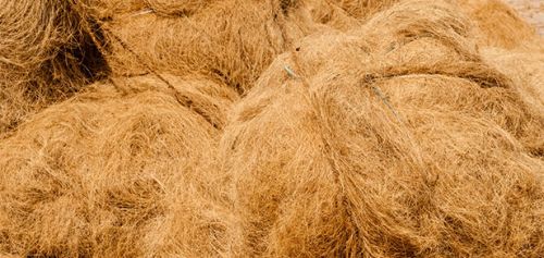 Coir Fiber, Material : Coconut Coir