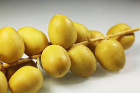 Fresh Barhi Dates