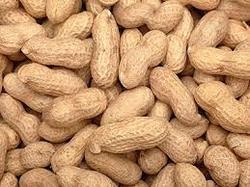 Natural Organic Shelled Groundnut, For Snack, Food