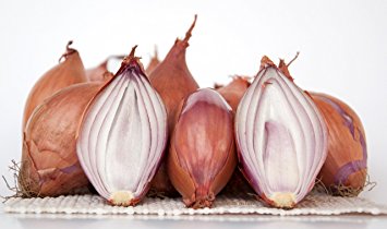 Organic Fresh Shallot Onion, Size : Large, Medium
