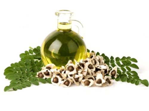 Moringa Oil, Drying Process : Natural