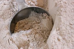 Wheat Flour