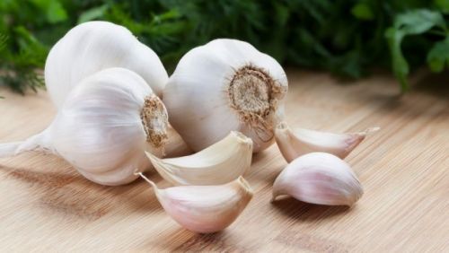 Organic Fresh Garlic