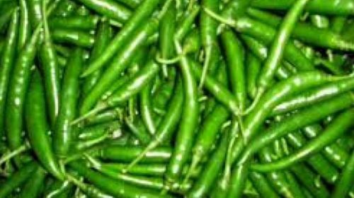Fresh green chilli, Usage : Spicy