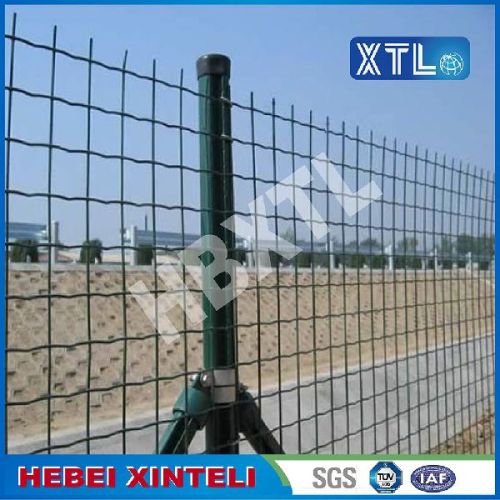 Green Holland Wire Mesh