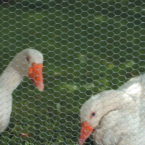 Hexagonal Stucco Wire Mesh