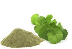 Brahmi Powder