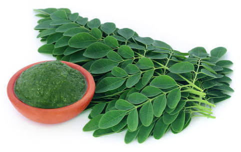 Organic Moringa Leaf Powder, For Cosmetics, Medicines Products, Style : Dried