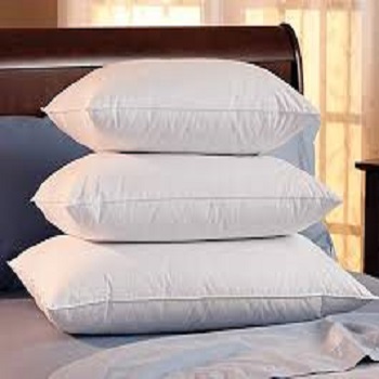 WELLGREEN 100% COTTON Bed Pillows