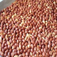 Organic Groundnuts Kernels