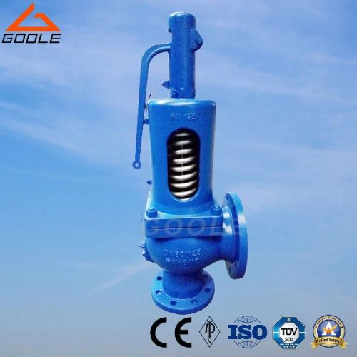 901/902 DIN Spring Loaded Full Lift Presure Safety Valve