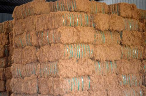 Coir Fibre