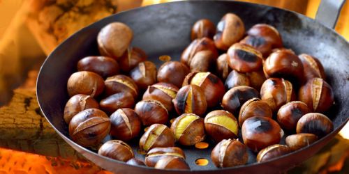 Fresh Chestnuts