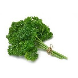 Organic Fresh Parsley, Color : Green