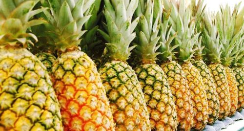 Fresh Pineapple, For Juice, Food