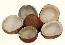 Coconut Copra