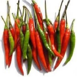 BIRD'S EYE CHILLI