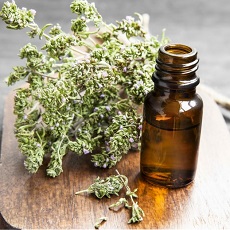 Thyme Oil