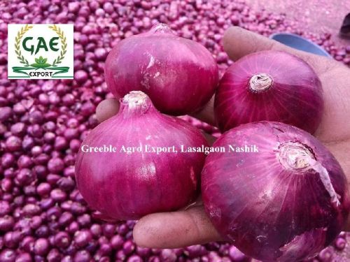 Nashik Onion