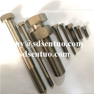 Titanium Fastener