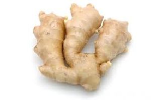 Organic Fresh Ginger