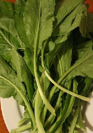 Organic Fresh Green Mustard Leaves