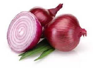 Organic Fresh Red Onion, Size : Large, Medium, Small