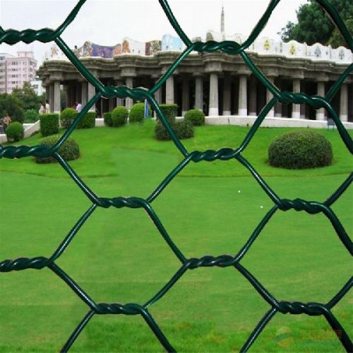 1/2'' Galvanized Hex Chicken Wire Netting