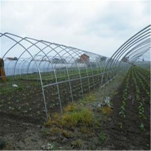 Greenhouse Hollow Section