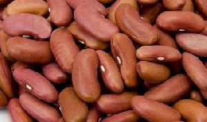 Red Kidney Beans