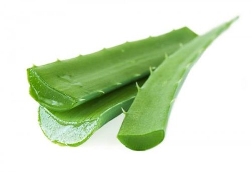 Organic Aloe Vera Leaves, For Personal Care Medicinal