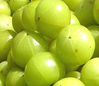 Organic Fresh Amla