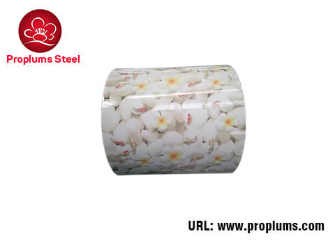 Color Coated Steel Coil, Brand Name : Proplums