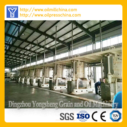 Vegetable Oil Pressing Plant