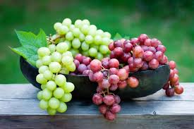 Organic Fresh Grapes, Packaging Size : 5-20 Kg
