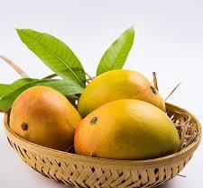 Organic Fresh Mangoes, Variety : Sindhri, Dasehri, Langra, Neelam More