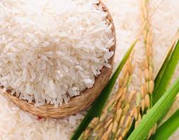 Organic 1509 Steam Long Grain Basmati Rice, Packaging Type : White