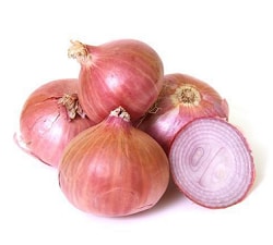 Organic fresh onion Medium, Packaging Type : Net Bag