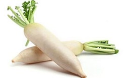 Organic Fresh Radish