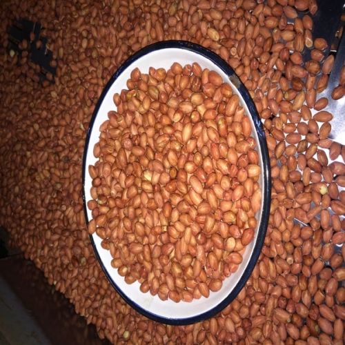 Peanut, Packaging Type : Recruitment Of Your, Moisture : <8 %