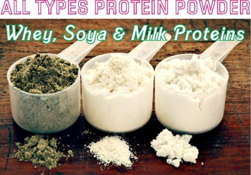 Protein Powder, For Health Supplement, Packaging Type : Paper Box, Plastic Can, Plastic Pouch