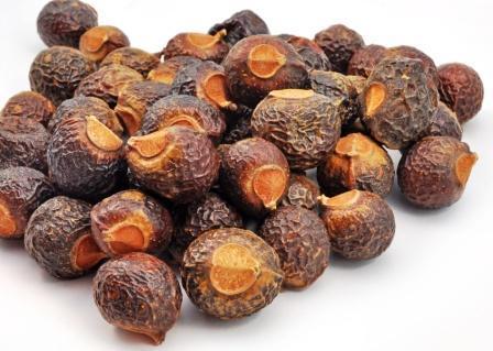 Soap Nuts