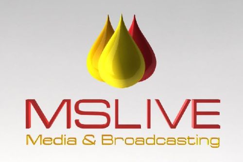 Mslive Pre-Production Services