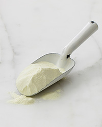 Skimmed Milk Powder